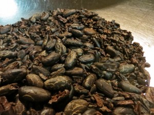 Cacao beans ready to be made into chocolate.