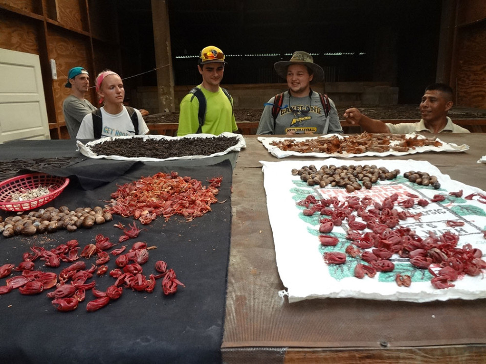 Lakeland students visit the spice farm.