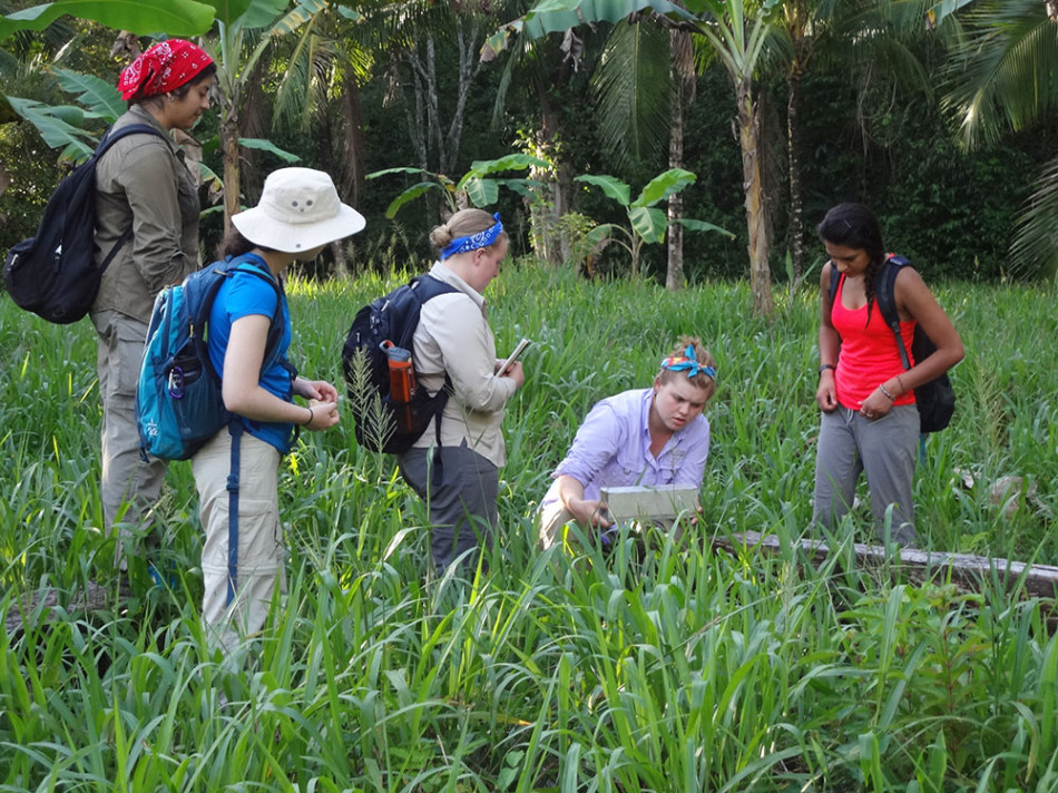 Sewanee students set mammal traps.