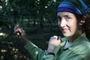 Emily McKinnon spent significant time at BFREE studying Wood Thrushes in their overwintering grounds.  