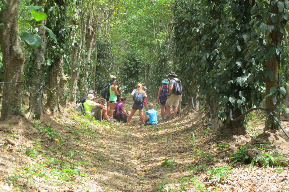 Otterbein students take a break during their tour of the Spice Farm