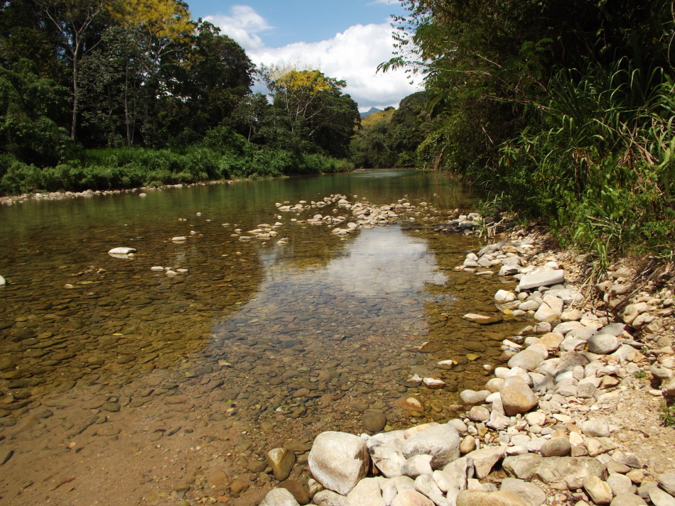 The Bladen River at the crossing to BFREE.