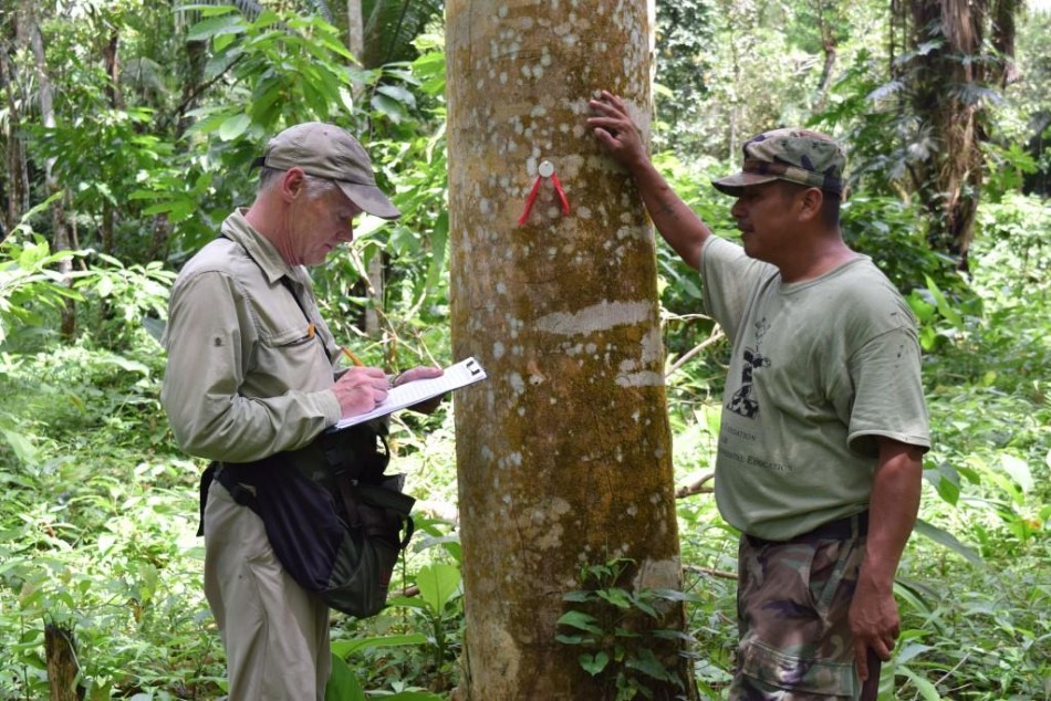 Dr. Stewart Skeate of Lees-McRae College and Sipriano Canti, BFREE Head Ranger and Tour Guide tag trees in the cacao grid for the fruit phenology study