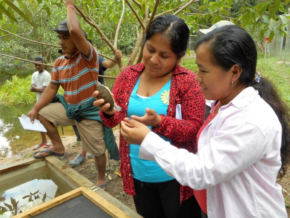 Independence Junior College students visit the Hicatee Conservation and Research Center - Pic by Roger McDaniel