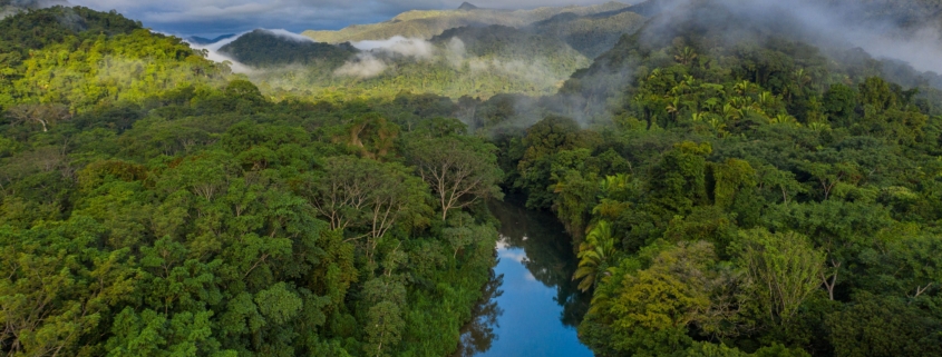 Cinematic photograph of the Maya Mountains and Bladen River
