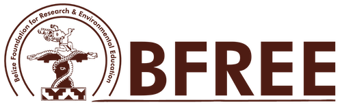 Belize Foundation for Research & Environmental Education