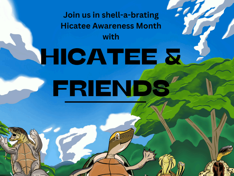 Hicatee Coloring Book