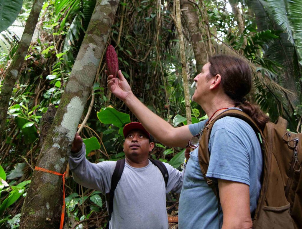 New Cacao Operations Manager