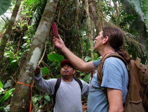New Cacao Operations Manager