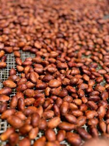 The Science of Fine Chocolate