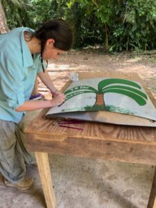 The Beauty of the Palm: An introduction to BFREE’s Palm Trail