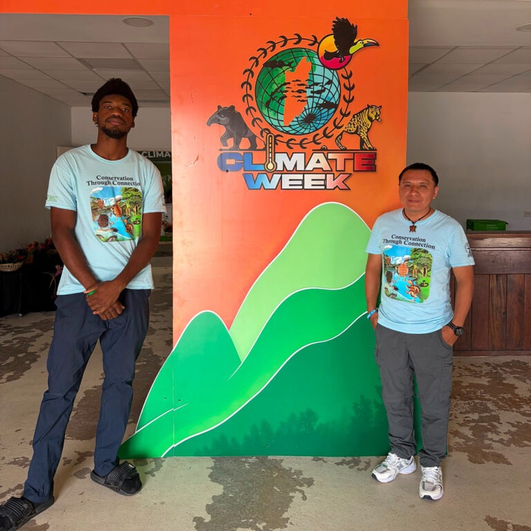 Reflections on announcing the Hicatee Conservation and Action Plan