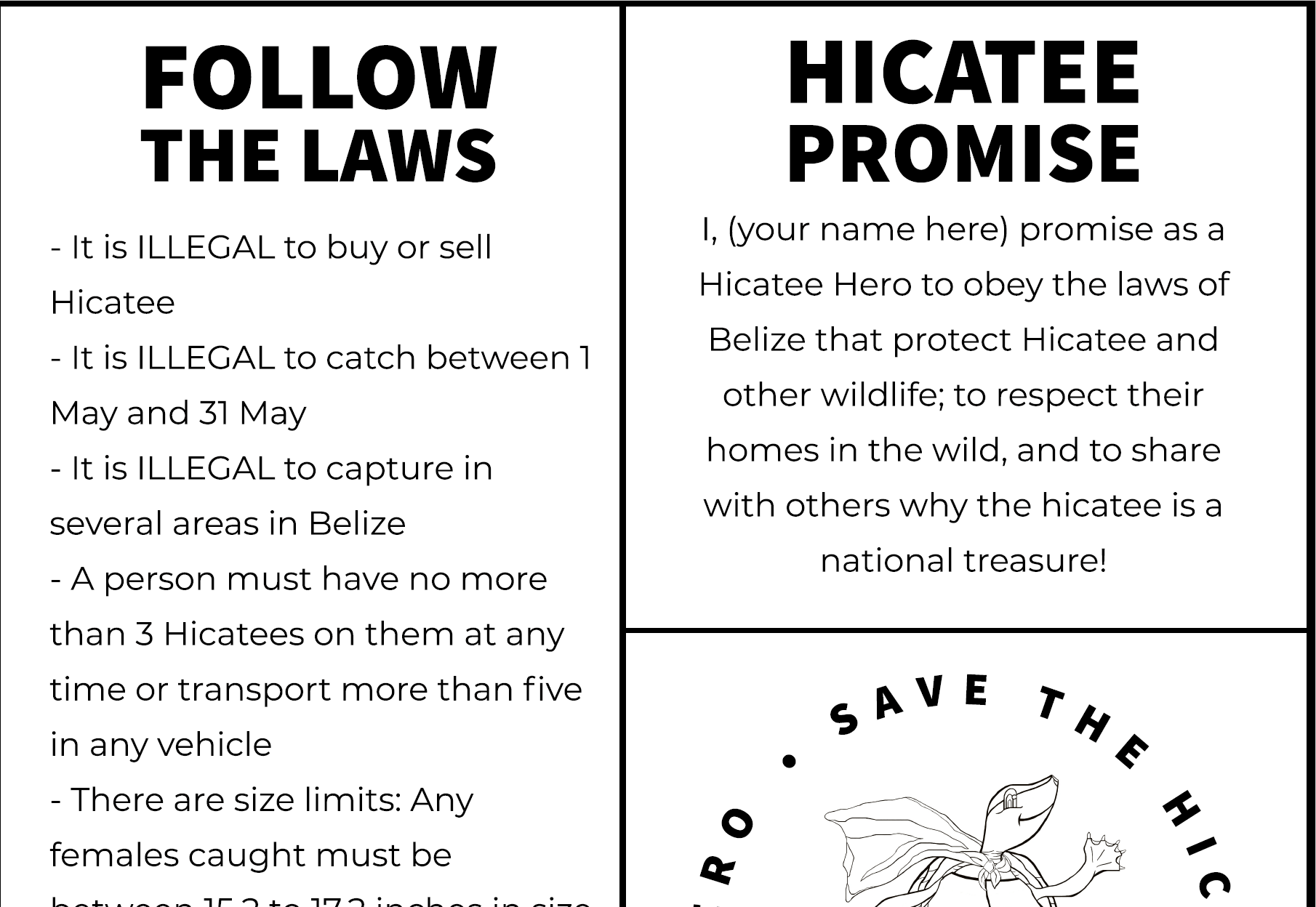 black and white fact sheet