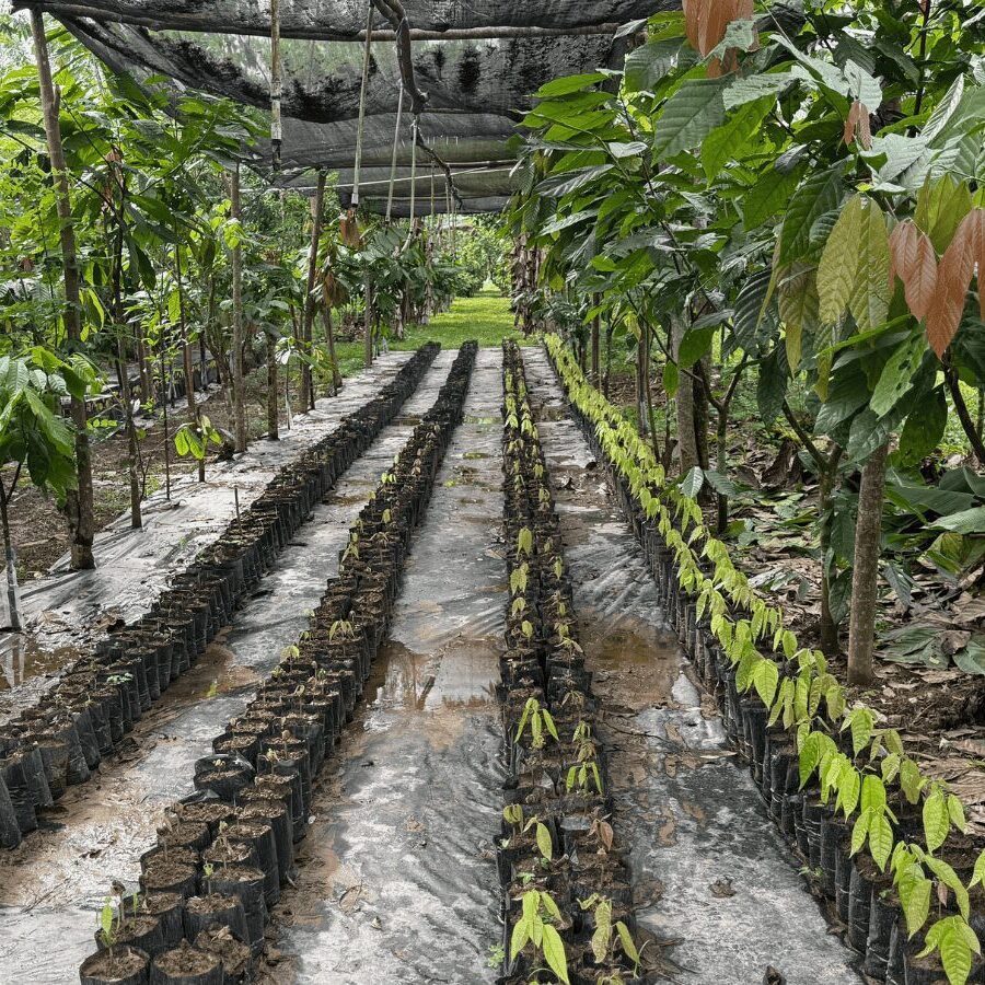 Agro-circle-fellowship Agro-circle-fellowship
