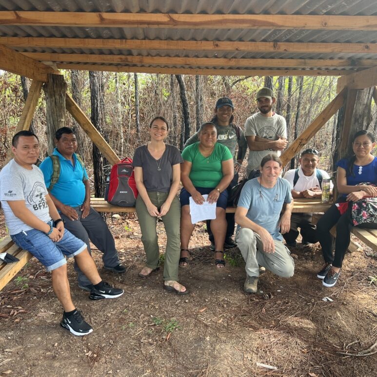 BFREE Employment BFREE Employment