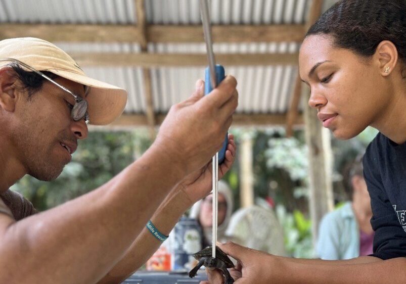 BFREE fellow opportunity fellowship BFREE fellow opportunity fellowship