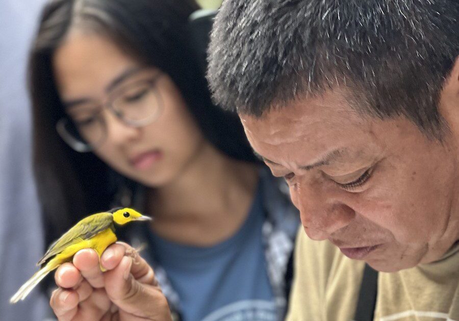 BFREE lead tour guide holding a small yellow bird while a young student looks on