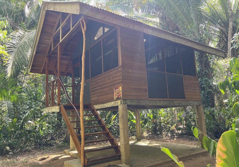 Harpy House BFREE A rustic cabin on stilts in the Belizean Rainforest at BFREE