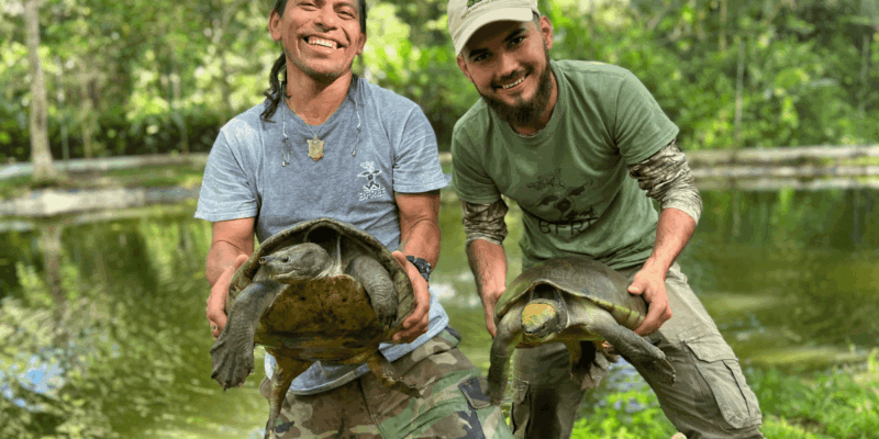 Two men holding hicatee turtles with a pond in the background.