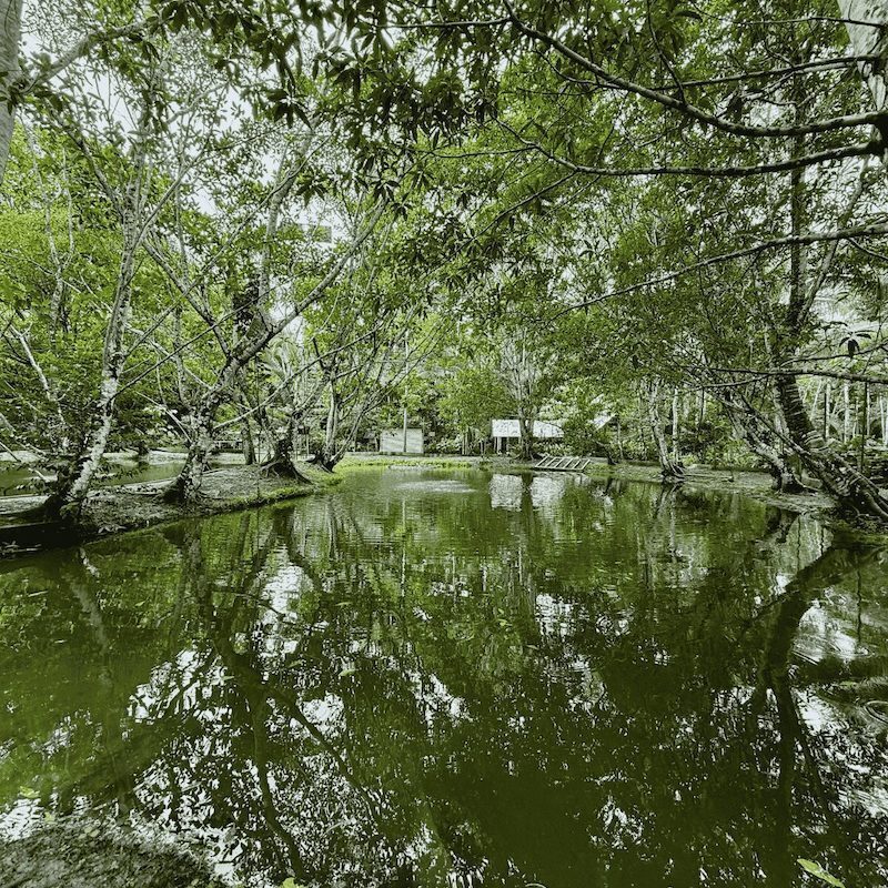 Turtle-Pond-Circle-home