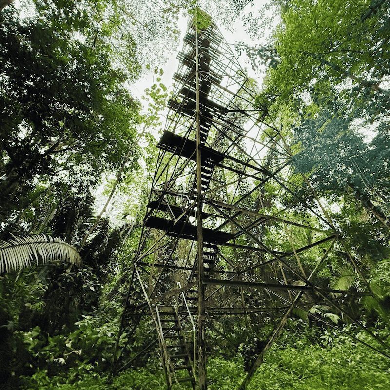 observation tower ariel rainforest maya mountain view