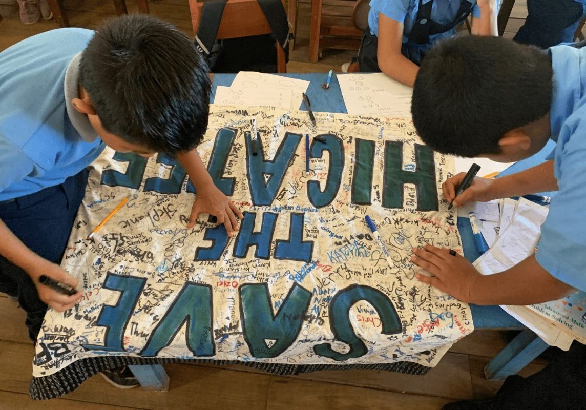 school program bfree education