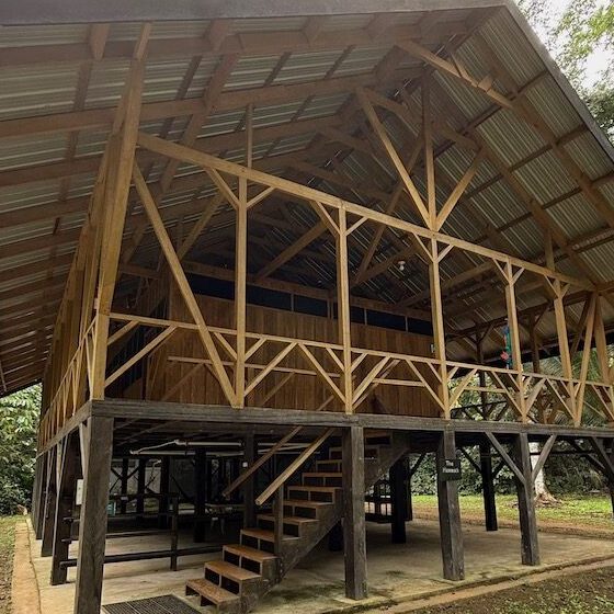 A beautiful wooden building featuring bunks in a large a-frame on stilts in the Belizean rainforest
